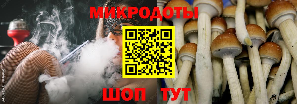 Псилоцибиновые грибы Cubensis  Галлюциногенные грибы Psilocybe  Вход с VPN  Пятигорск 