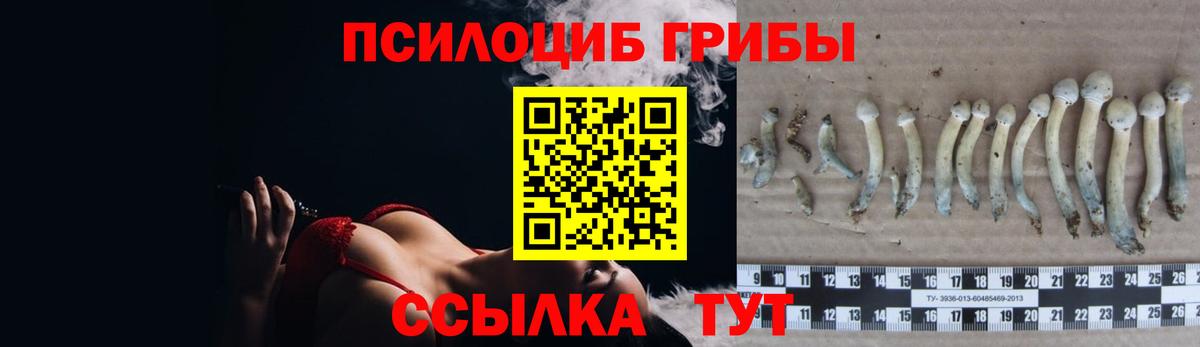 Галлюциногенные грибы ЛСД Пятигорск